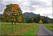 NN7421 : Minor road near Aberuchill by Dr Richard Murray