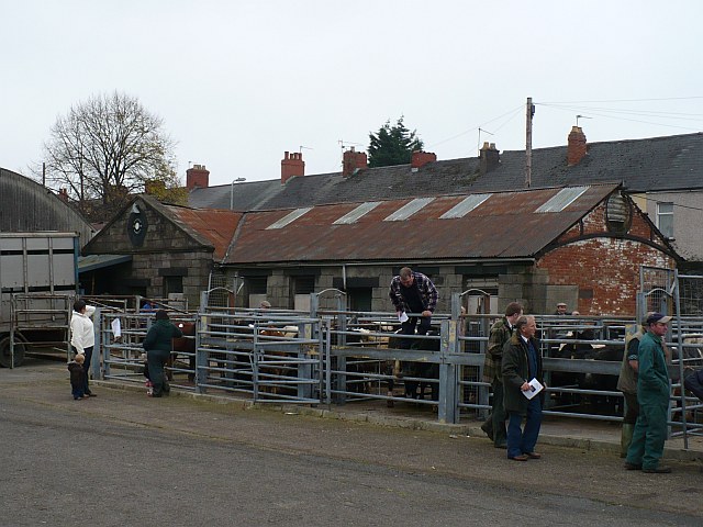 market drayton cattle market