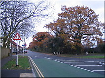 SP3078 : Tile Hill Lane by E Gammie