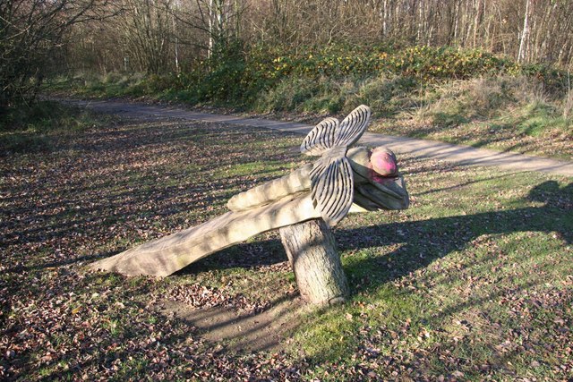Dragonfly Sculpture © Richard Croft Geograph Britain And Ireland