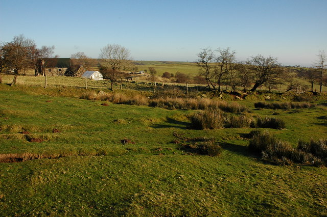 Coed Major © Philip Halling Cc By Sa20 Geograph Britain And Ireland 7010