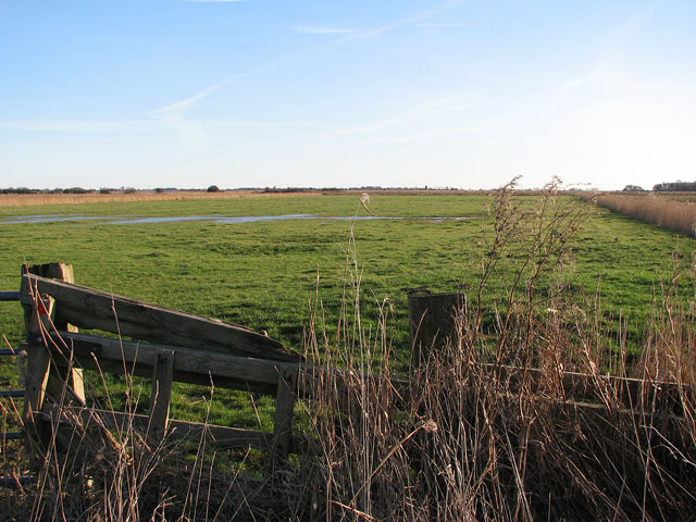 Large Pasture In The Upton Marshes Evelyn Simak Geograph Britain