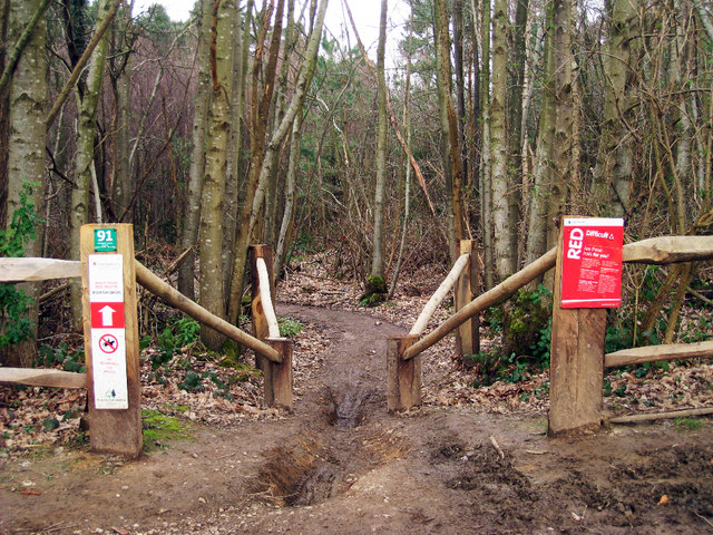 bedgebury pinetum cycling