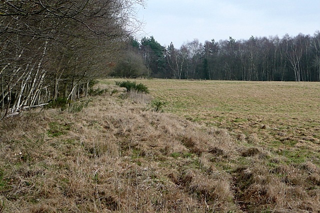 Soke Pig Farm Graham Horn Geograph Britain And Ireland