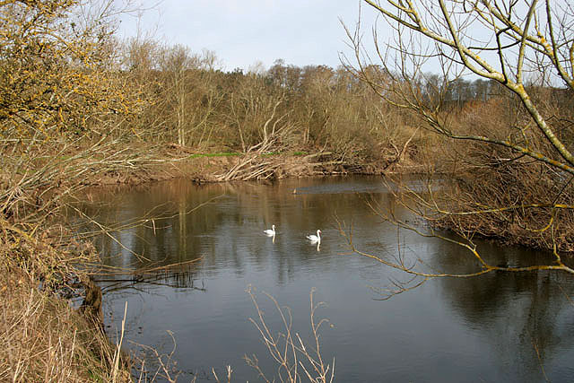 River Tweed