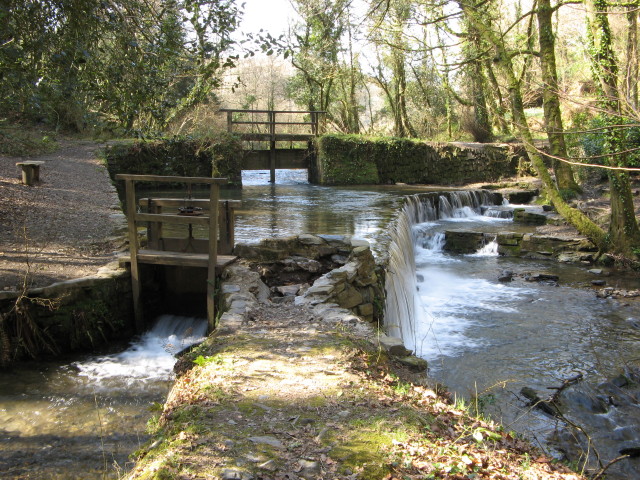 Stream Weir