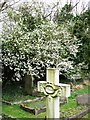 SP9113 : Hawthorn in bloom in Wilstone Cemetery by Chris Reynolds