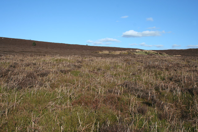 ruabon mountain