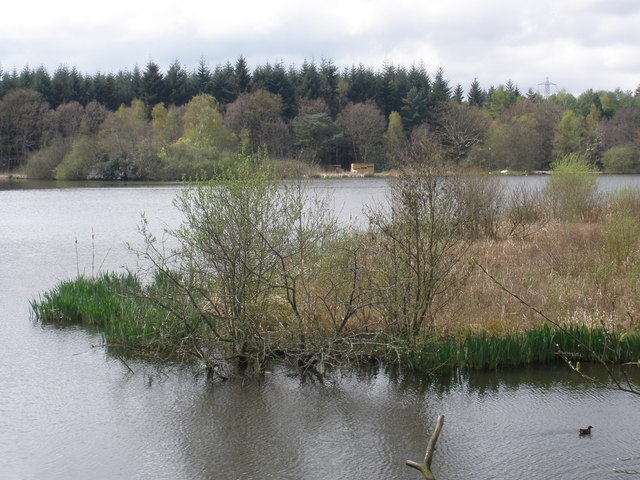 The lake, at Stover Country Park A 