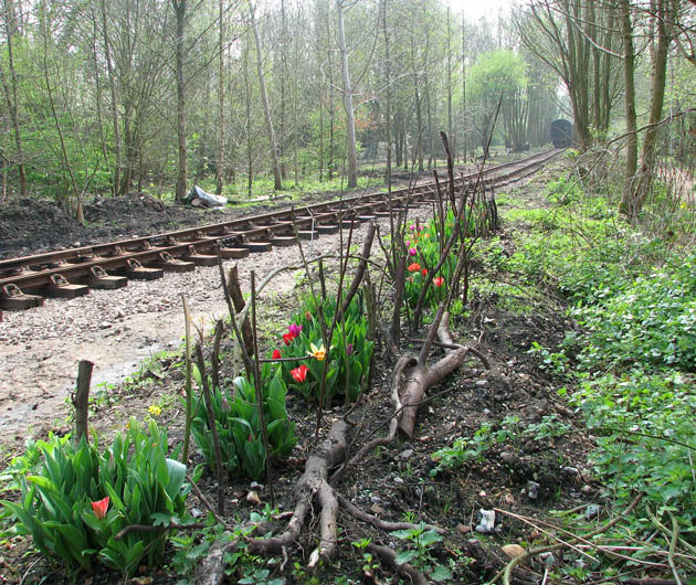 Whitwell Station Spring Flowers Evelyn Simak Cc By Sa