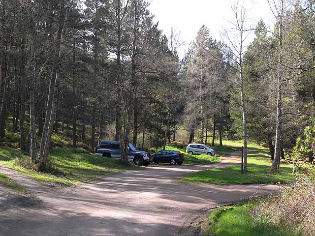 forest car park