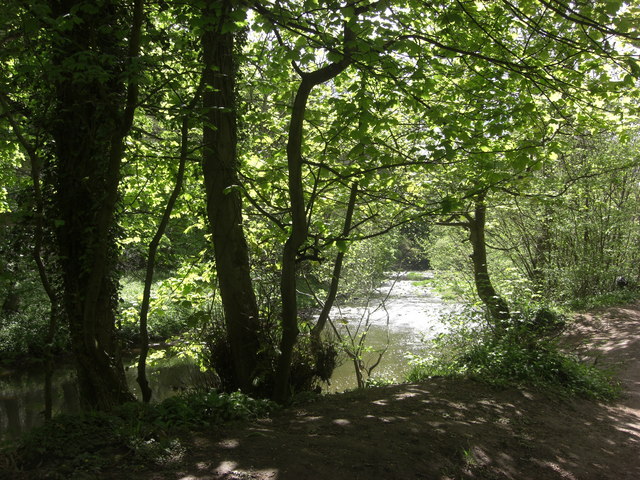 plessey woods