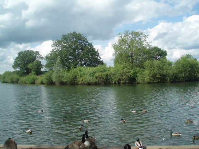 Dinton Pastures