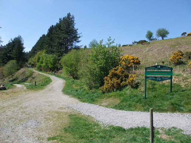 Entering Llangwyfan Woods Coed © Tim Heaton Cc By Sa20