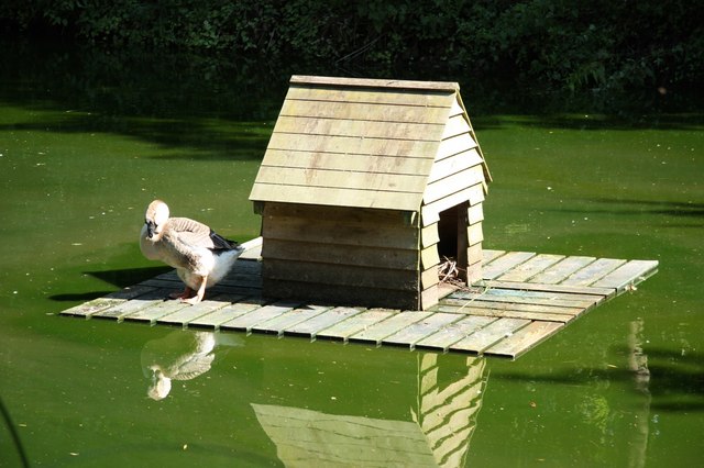 duck-house-richard-croft-geograph-britain-and-ireland