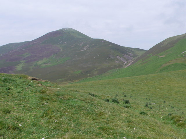 Scald Law
