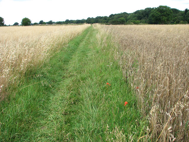 To Surlingham On The Wherryman S Way Evelyn Simak Cc By Sa 2 0