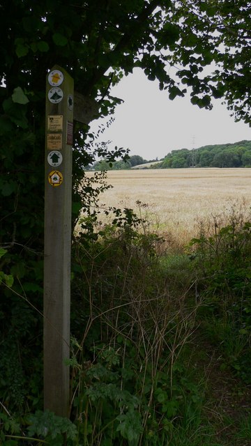 Monarch's Way signs near Owslebury