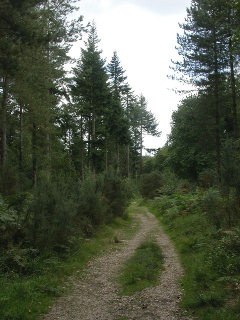 Great Linford Inclosure Mike Faherty Cc By Sa 2 0 Geograph Britain