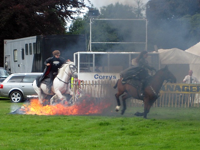 horses jumping. all the horses jumping a