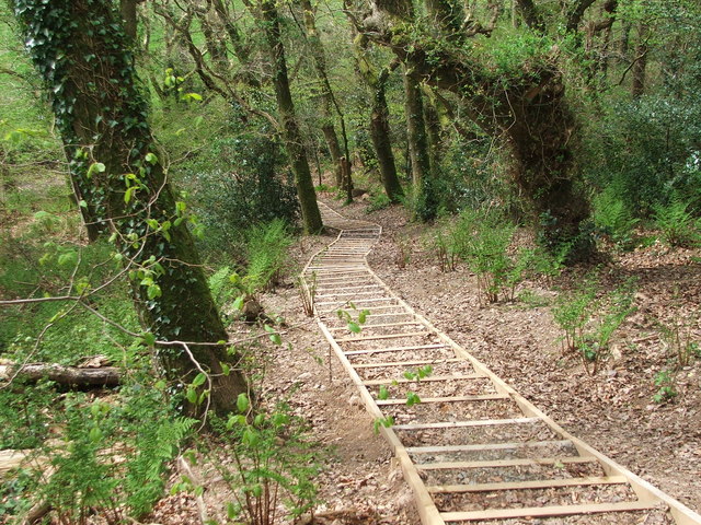 Chapel Wood