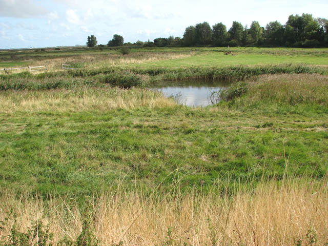 Pastures In Churchfarm Marshes Evelyn Simak Geograph Britain And