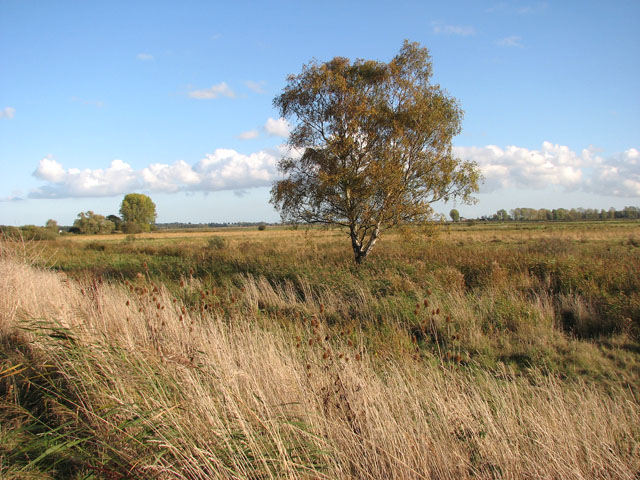 View Across Claxton Marshes Evelyn Simak Cc By Sa 2 0 Geograph