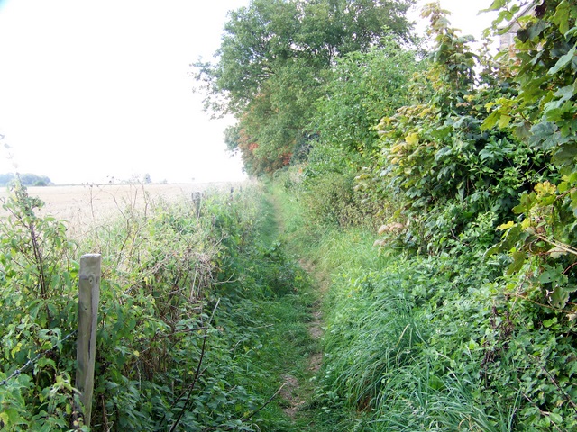 Footpath Combe Down Maigheach Gheal Cc By Sa Geograph Britain