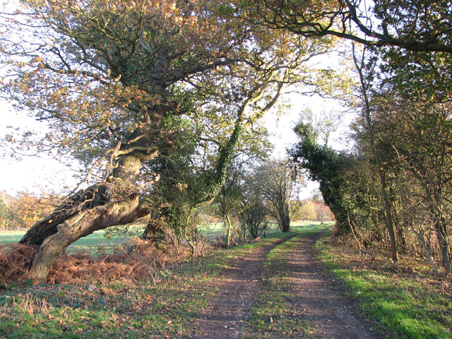 Approaching The A On Hickling Lane Evelyn Simak Cc By Sa