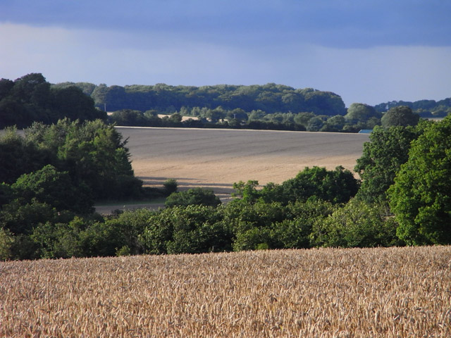 Old Alresford