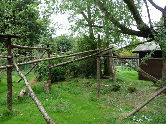 Panda Enclosure