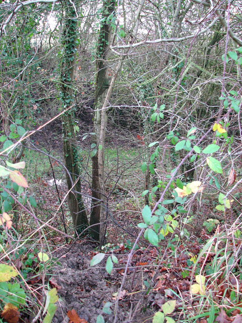 Dismantled Railway Trackbed East Of Evelyn Simak Geograph