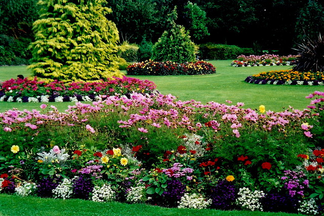 Irish Landscaping