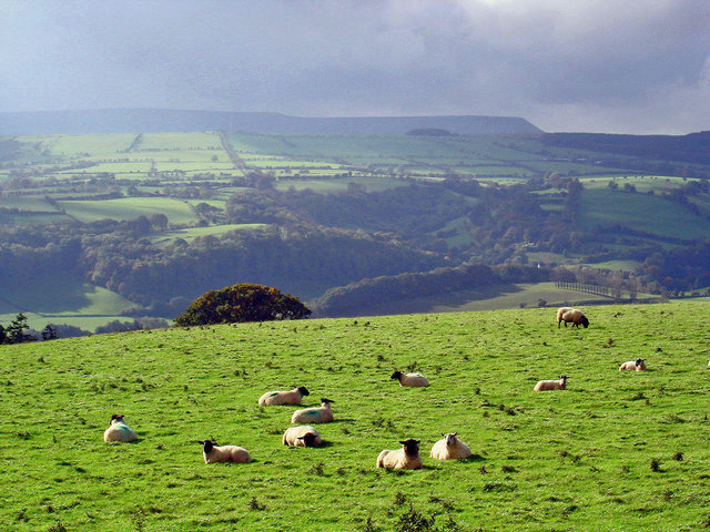 Hay Bluff