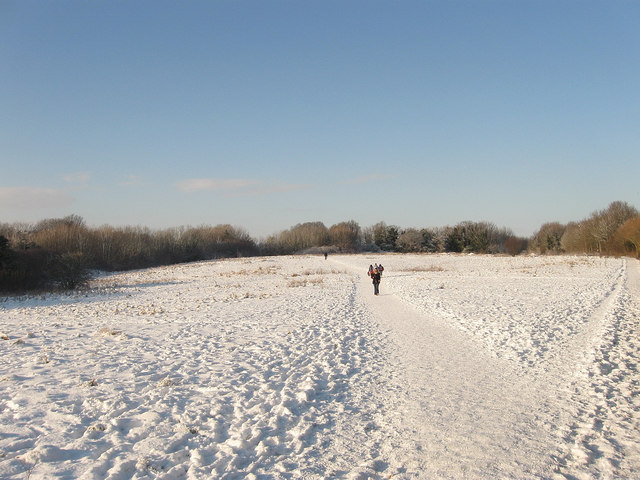 Benfield Valley Local Nature Reserve © Simon Carey Cc-by-sa/2.0 ...