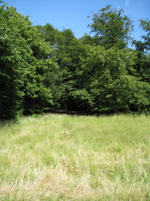 Lloyd S Copse Mr Ignavy Geograph Britain And Ireland