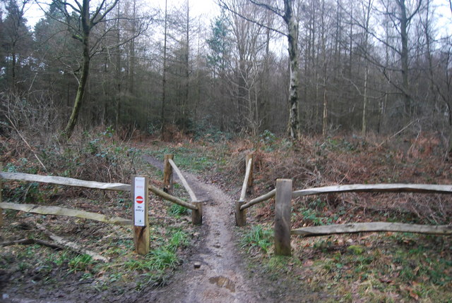 bedgebury mtb trail map