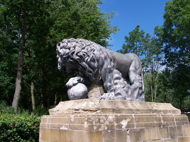 Italian Lion