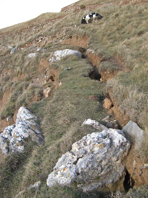 Tension Cracks © Jonathan Wilkins Cc By Sa20 Geograph Britain And