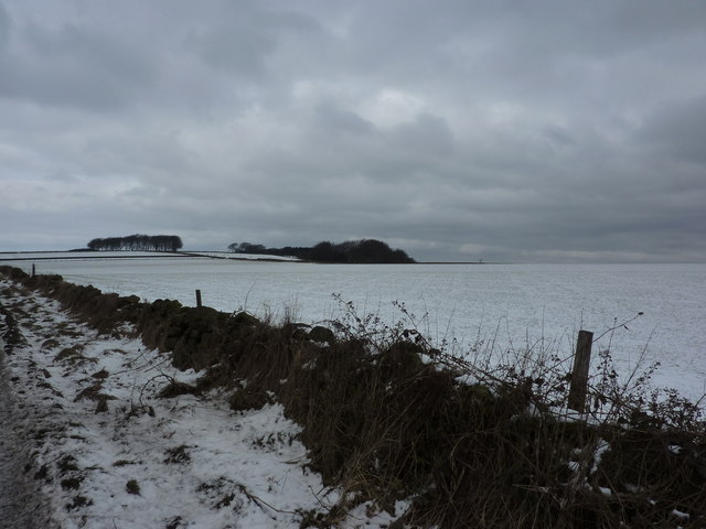 bleak winter landscape