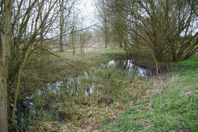 soggy ground