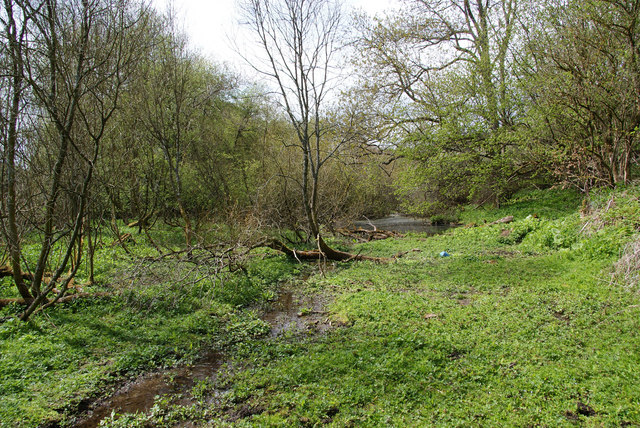 soggy ground