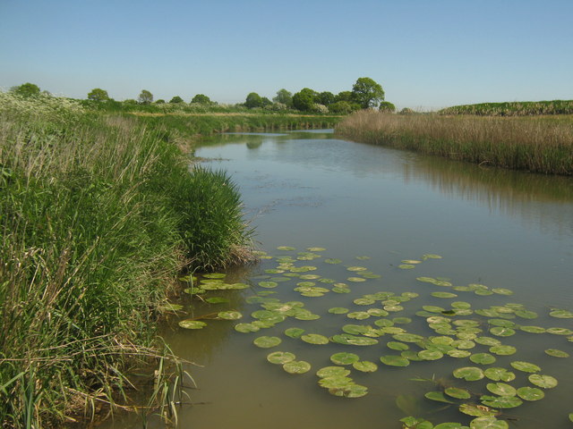 River Rother