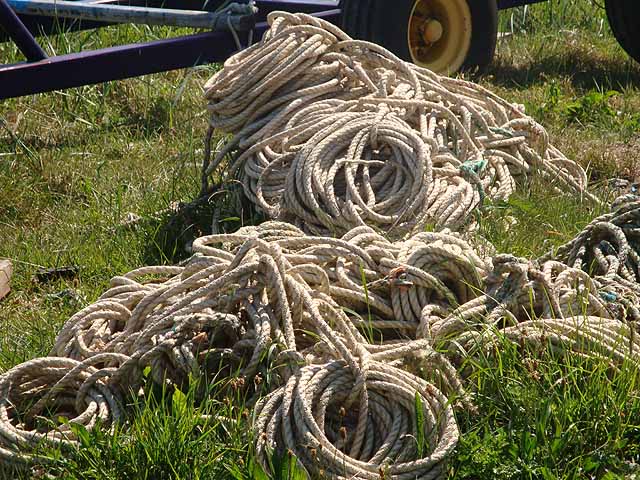 Coils of rope. Part of the stock of fishing paraphernalia at Boulmer