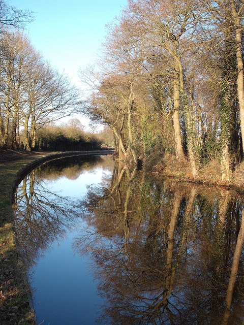 Ring Canal