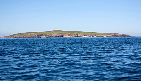 Saltee Islands Ireland