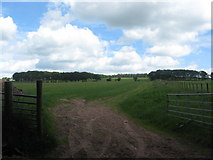 NT6113 : Farmlands at Ruletownhead by james denham