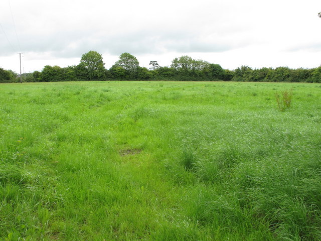 Grass field © David Hawgood :: Geograph Ireland