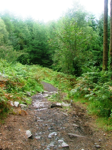 kirroughtree trail map