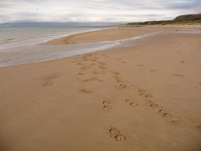 Blackwaterfoot: horseshoe prints on the... © Chris Downer :: Geograph